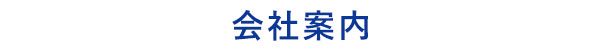 茨城県坂東市の加藤自動車販売の会社の概要の案内